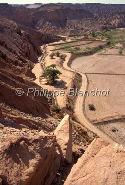 chili 07.JPG - San Pedro de AtacamaChili
